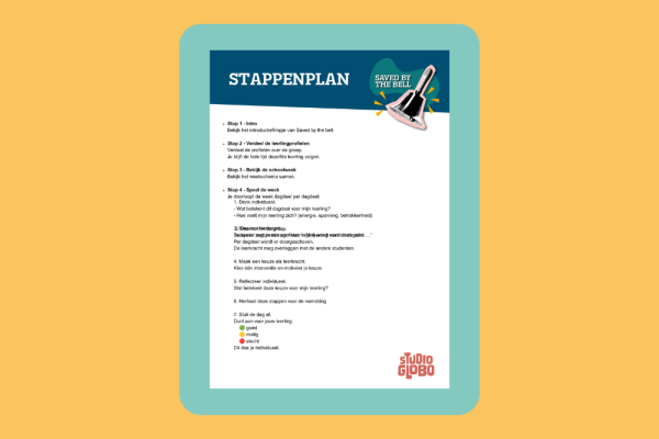 kleine versie stappenplan